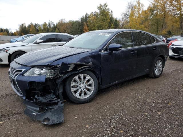 LEXUS ES 300H