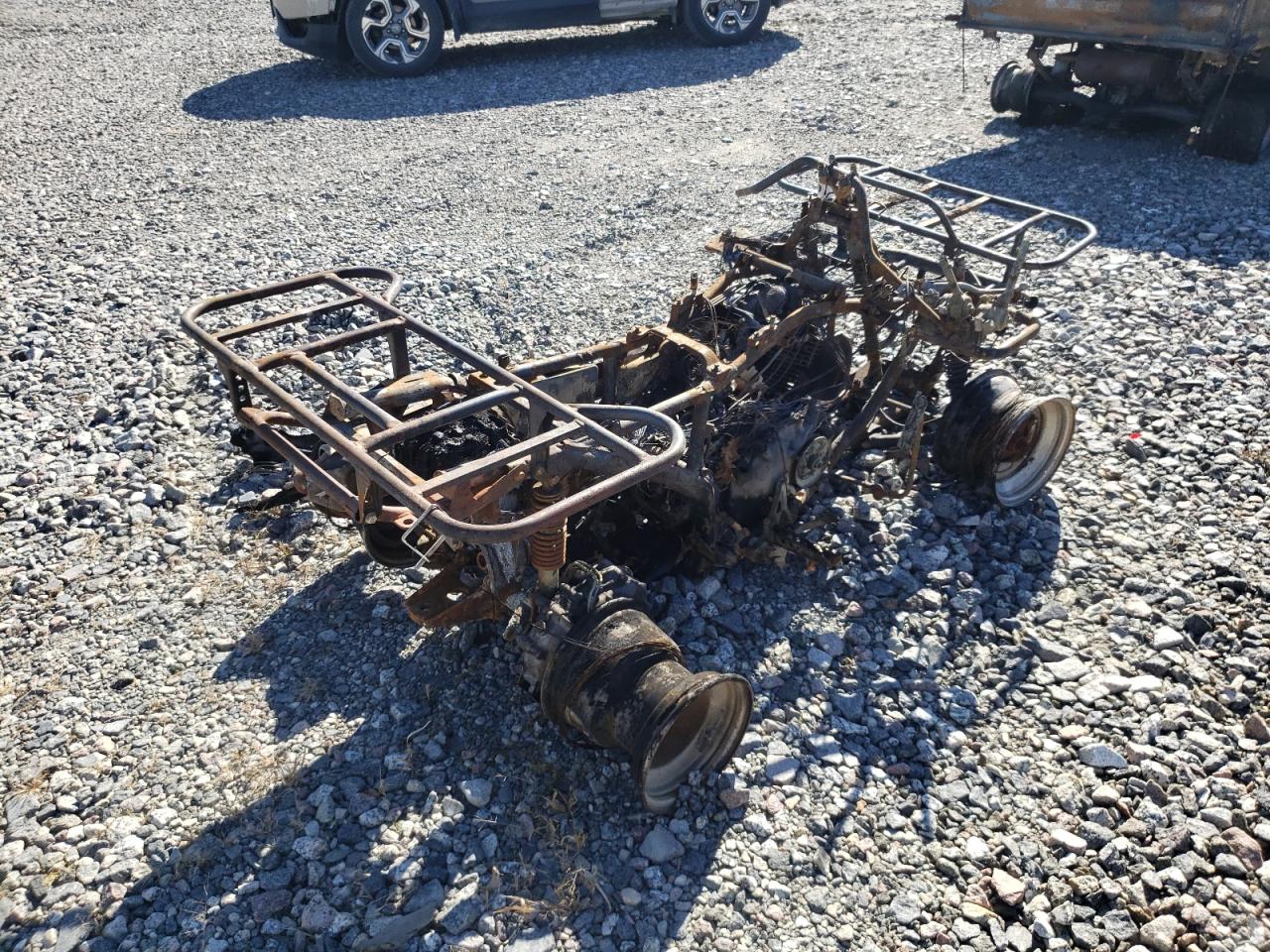 Lot #3281419987 1988 YAMAHA 350 TERRA PRO