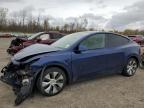 Lot #3302653053 2021 TESLA MODEL Y