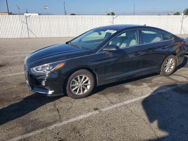 Global Auto Auctions: 2019 HYUNDAI SONATA SE