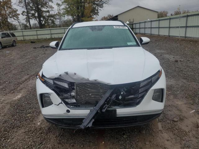2024 HYUNDAI TUCSON BLU KM8JBCD13RU195077