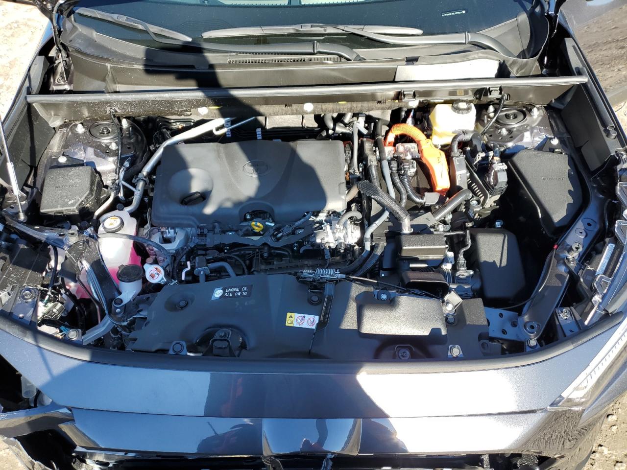 Lot #3292458698 2025 TOYOTA RAV4 XLE