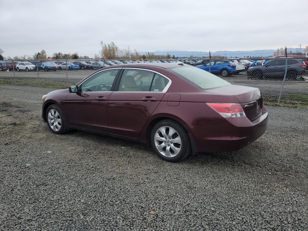 Lot #3286561147 2008 HONDA ACCORD EXL