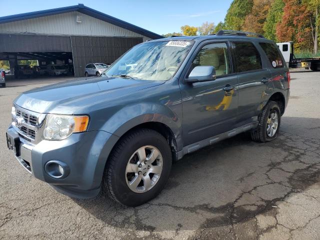 2010 FORD ESCAPE LIMITED - 1FMCU9E74AKD36408