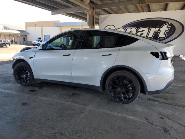2020 TESLA MODEL Y - 5YJYGDEE8LF004345