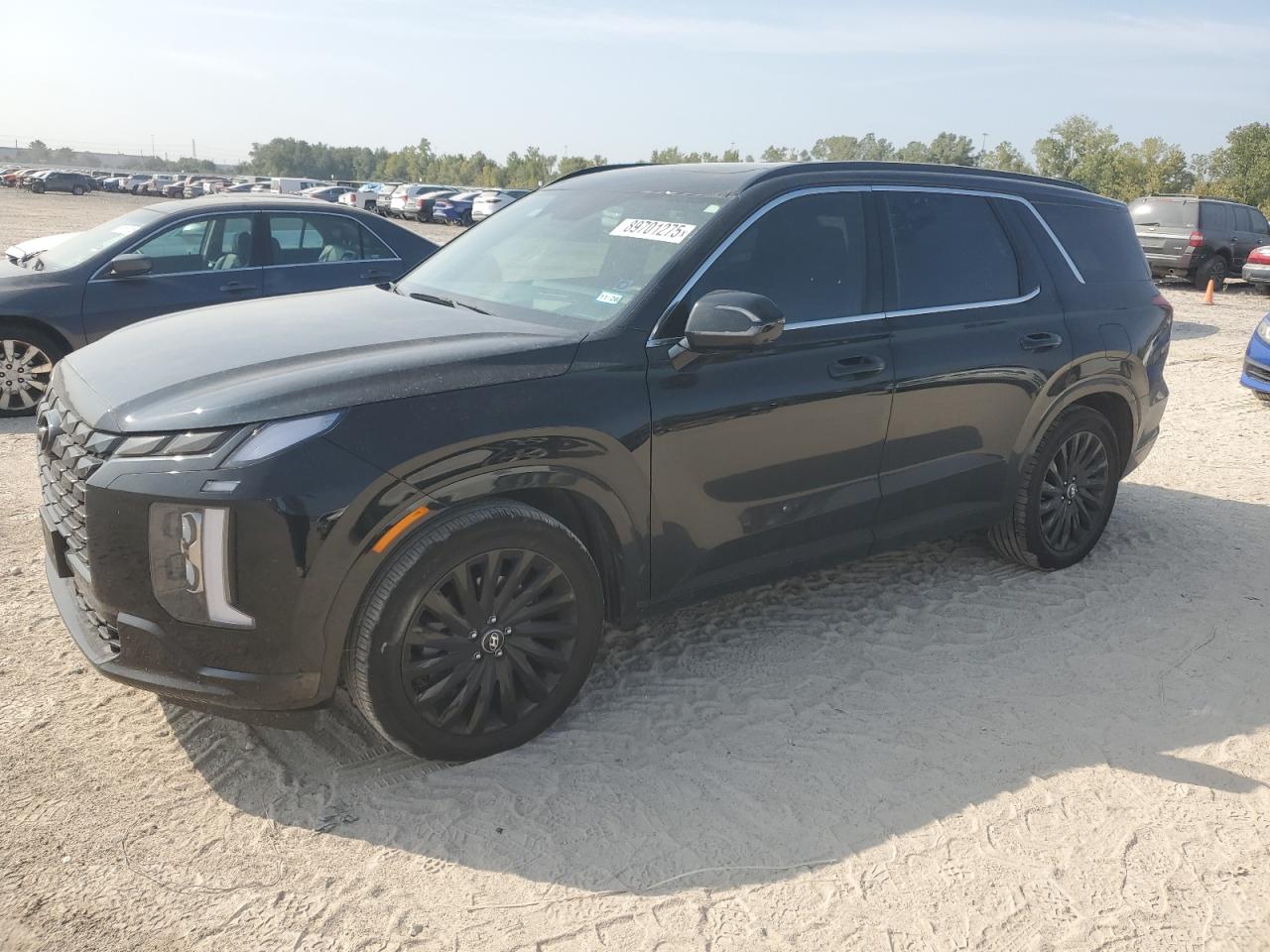 HYUNDAI PALISADE CALLIGRAPHY