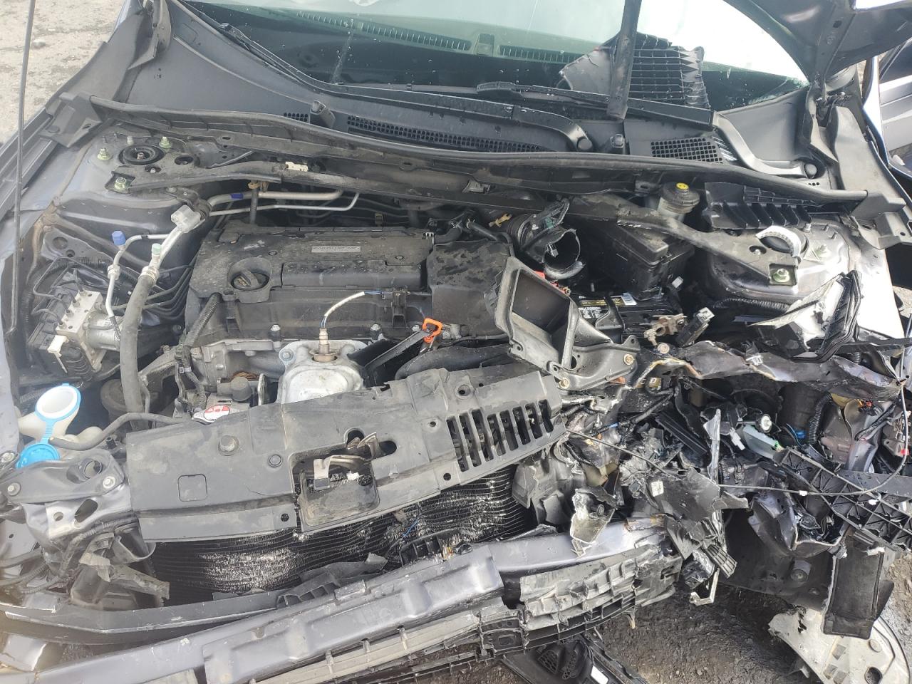 HONDA ACCORD SPORT SPECIAL EDITION