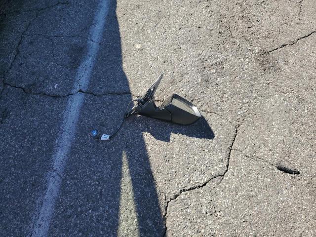 2025 TESLA MODEL Y #3302659083