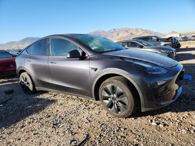 2024 TESLA MODEL Y #3298300133