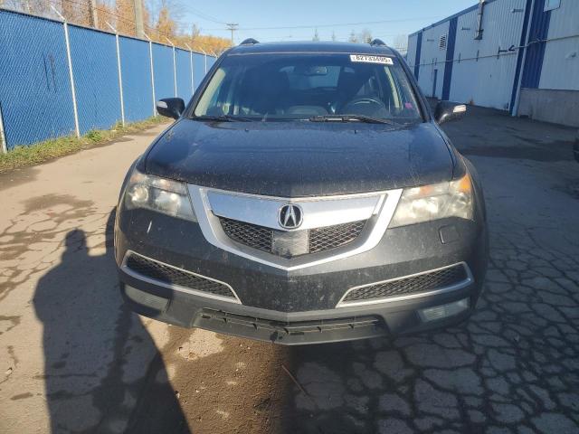 2011 ACURA MDX ADVANC - 2HNYD2H73BH005187