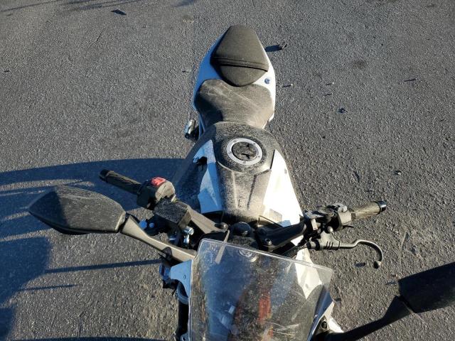 2024 SUZUKI GSX800 F #3293466441