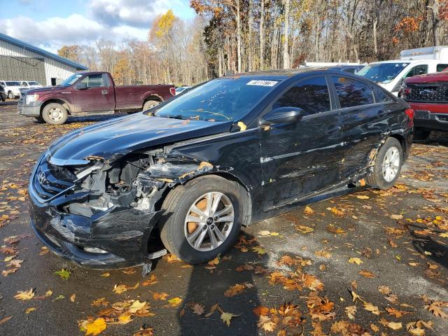Global Auto Auctions: 2013 HYUNDAI SONATA GLS
