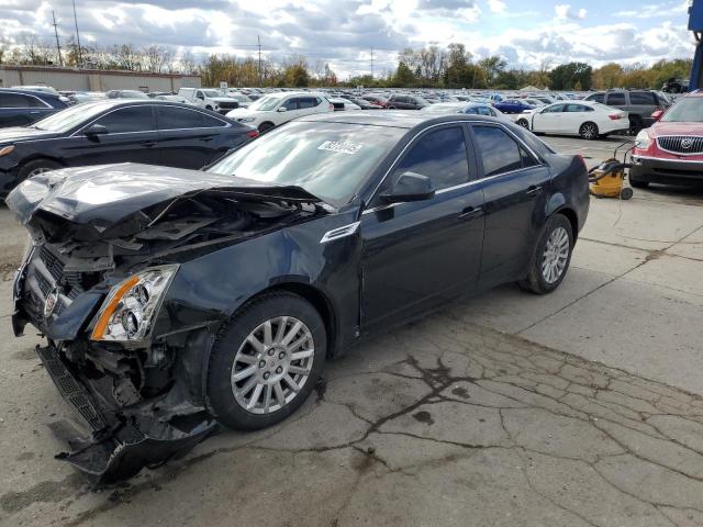 Global Auto Auctions: 2009 CADILLAC CTS