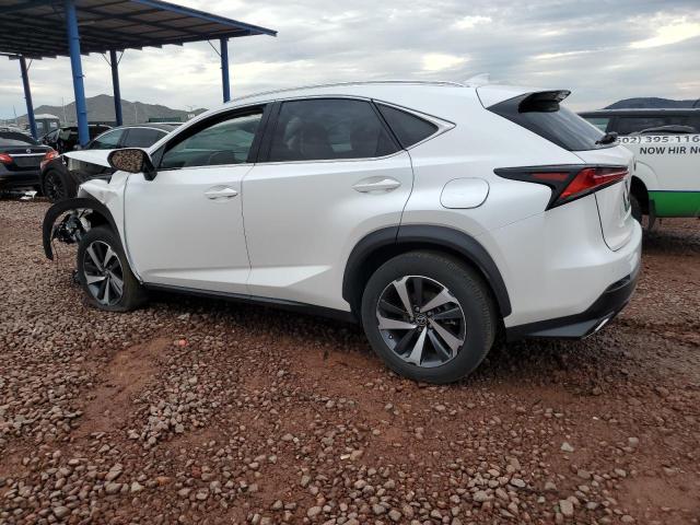 2021 LEXUS NX 300 BAS - JTJGARBZ0M5031962