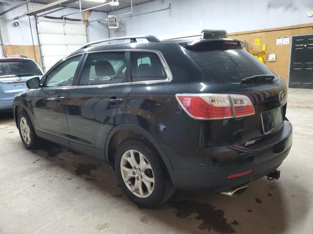 2011 MAZDA CX-9 - JM3TB3CV9B0315762