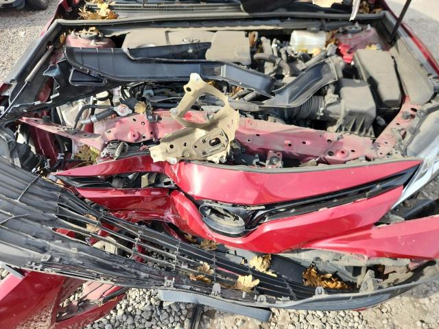 2019 TOYOTA CAMRY LE - 4T1B31HK9KU510978