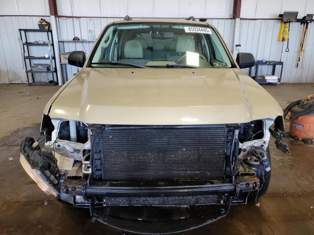 2011 FORD ESCAPE XLT - 1FMCU9DG7BKC47421