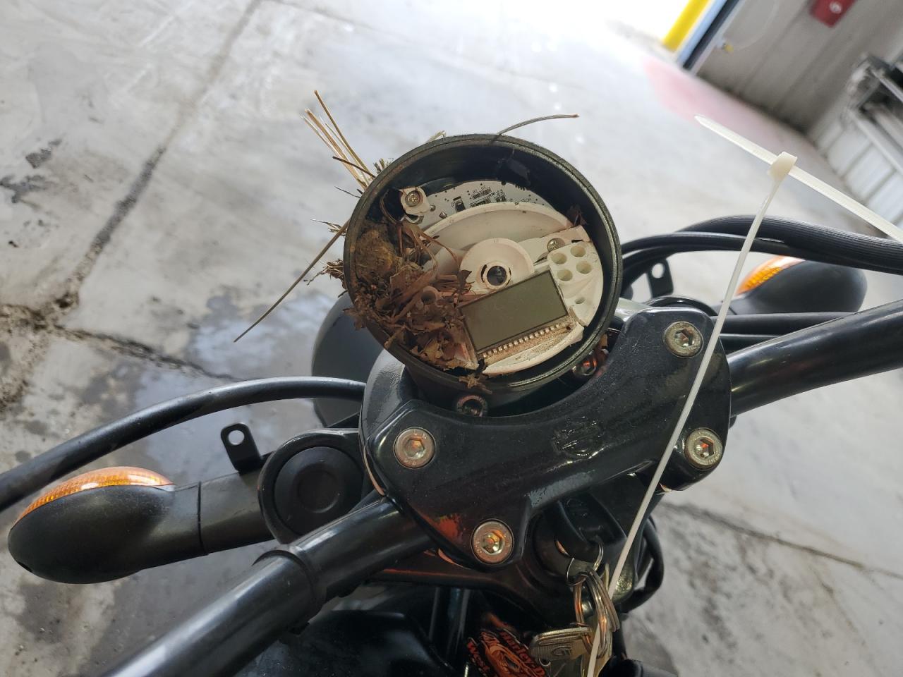 Lot #3297103504 2015 HARLEY-DAVIDSON XG500