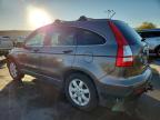 Lot #3301413395 2009 HONDA CR-V EXL