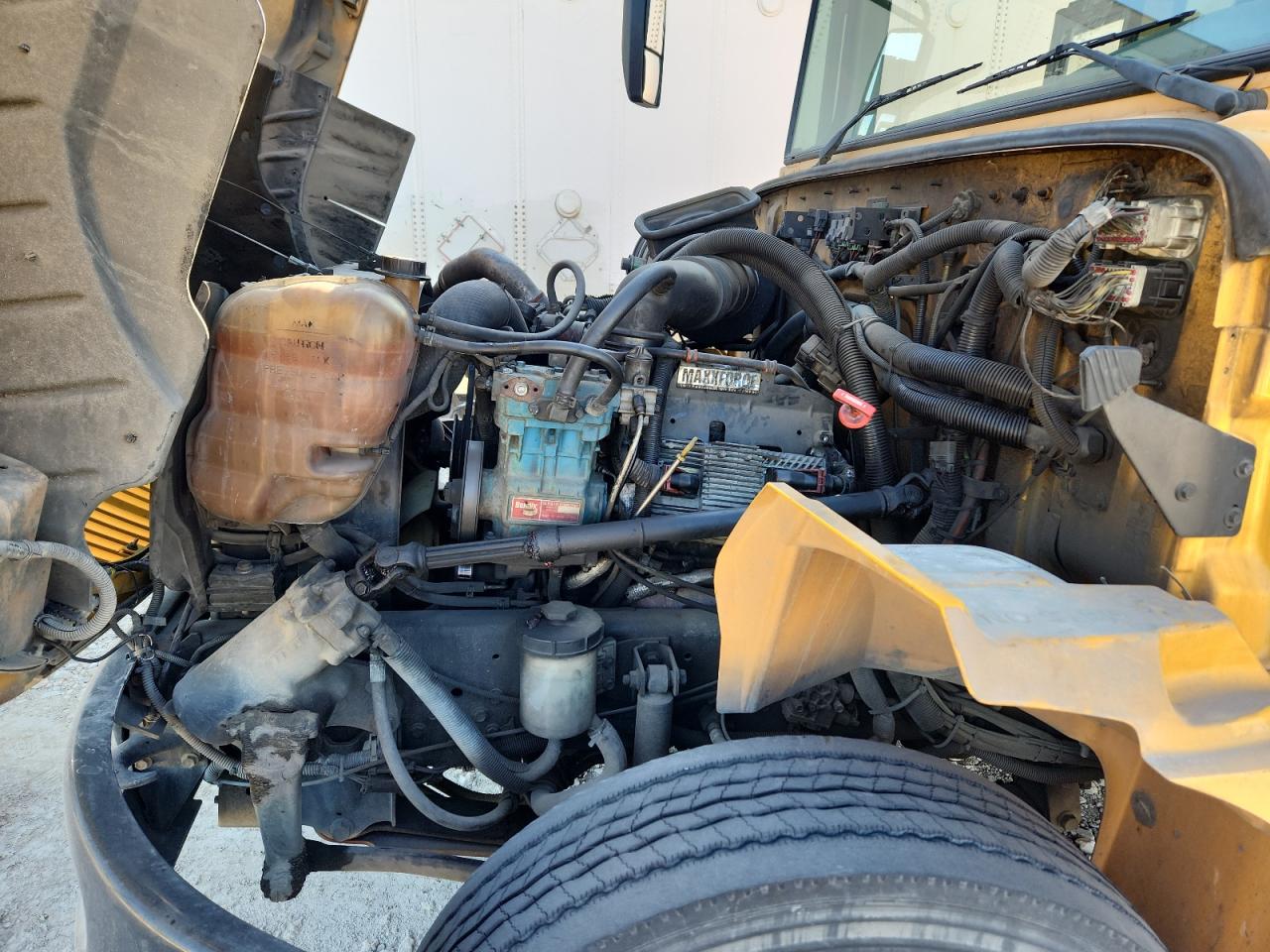 Lot #3270675863 2011 IC CORPORATION CE SERIES SCHOOL