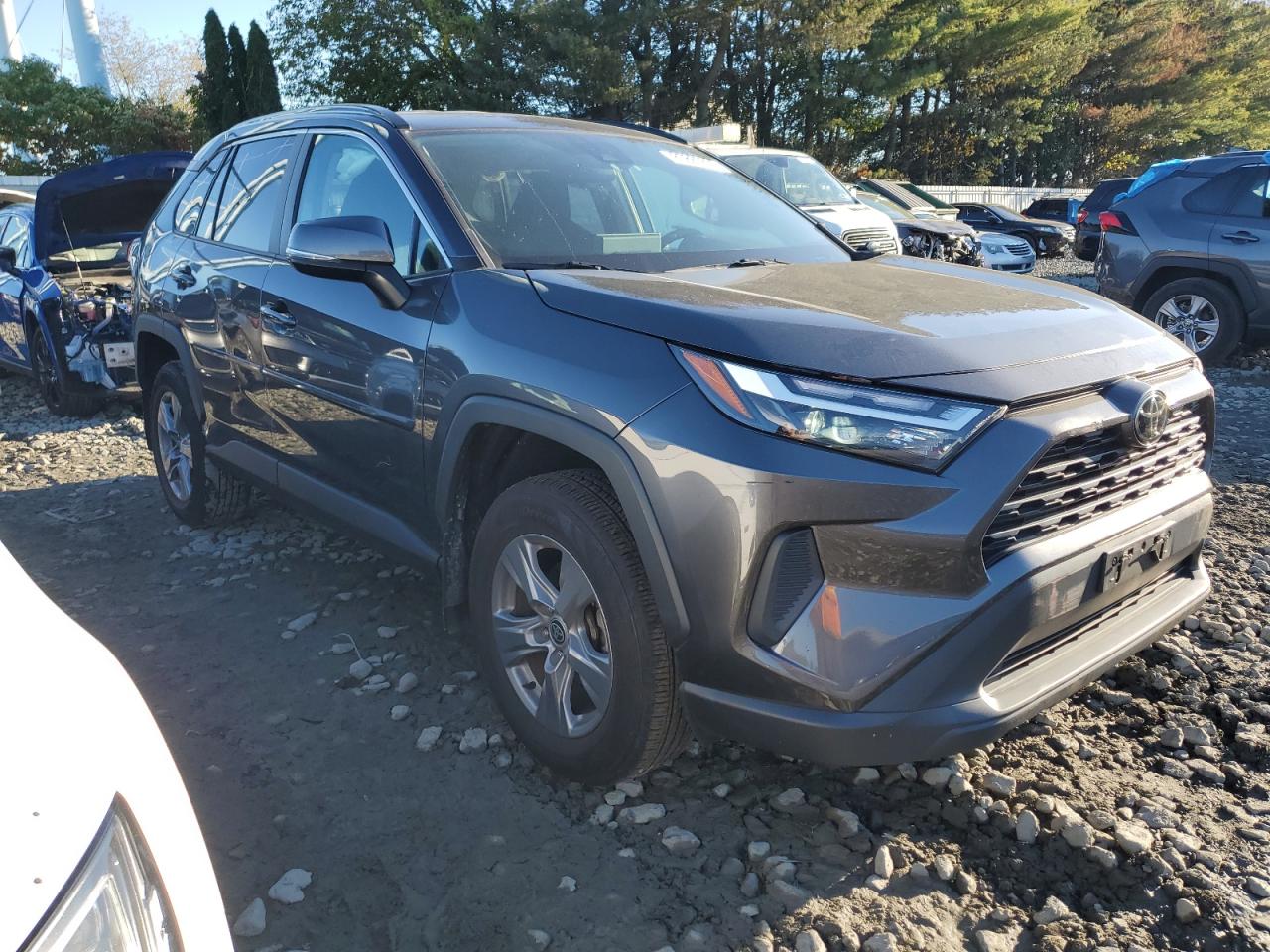 TOYOTA RAV4 XLE