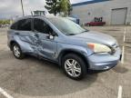 Lot #3309402975 2011 HONDA CR-V EX