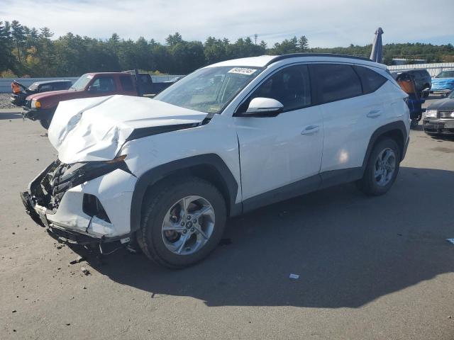 Global Auto Auctions: 2023 HYUNDAI TUCSON SEL