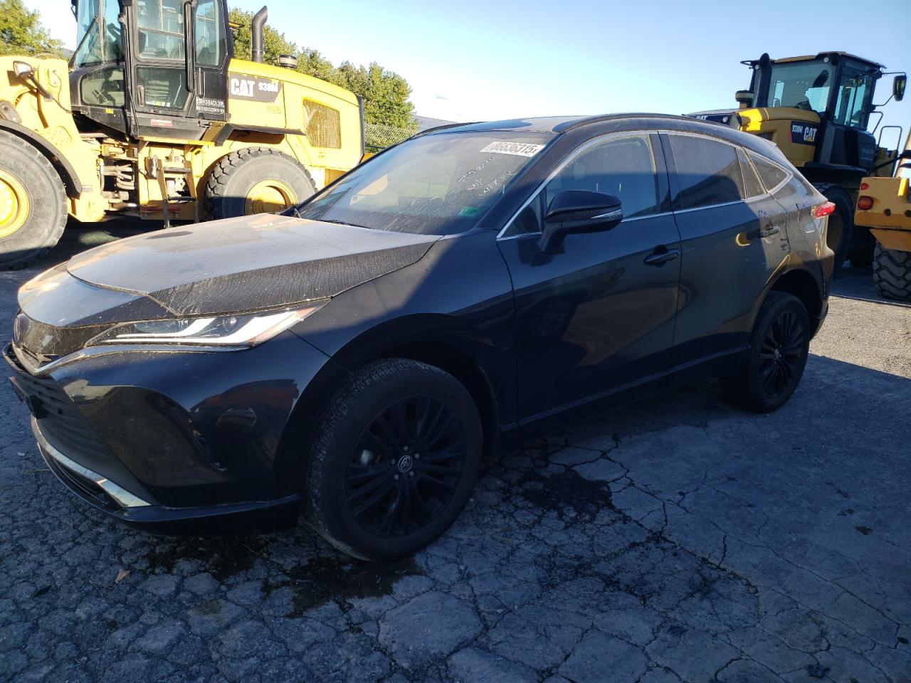 Lot #3301962500 2023 TOYOTA VENZA LE