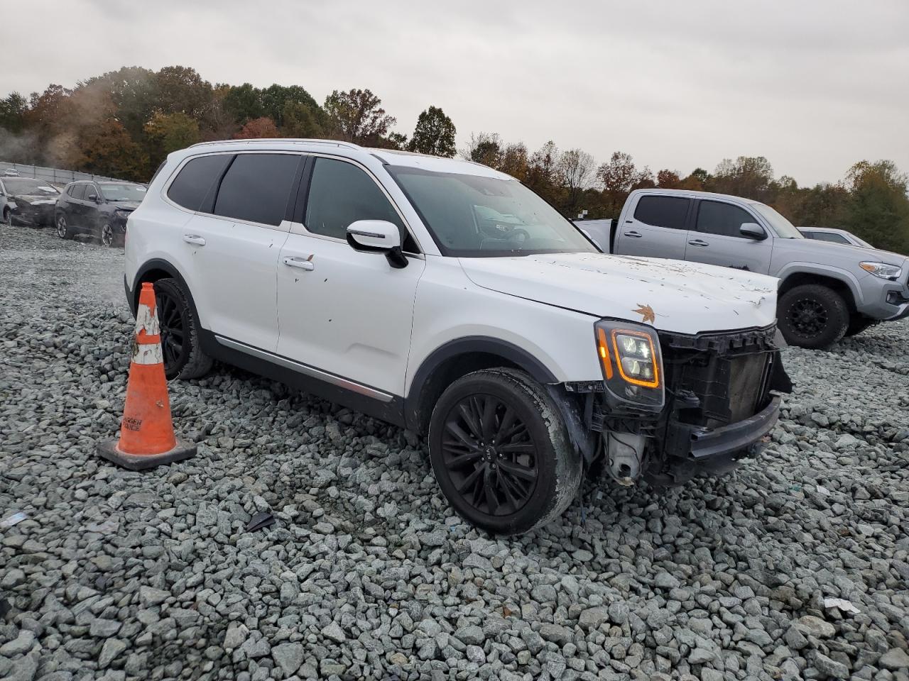 KIA TELLURIDE SX