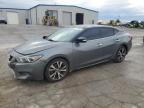 Lot #3296218477 2016 NISSAN MAXIMA 3.5