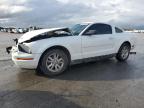 Lot #3296432668 2007 FORD MUSTANG