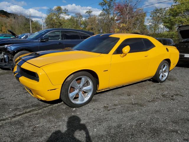 Global Auto Auctions: 2019 DODGE CHALLENGER