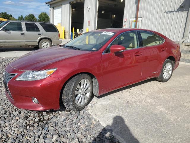 LEXUS ES 300H