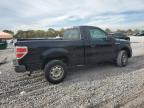 Lot #3303959688 2011 FORD F150