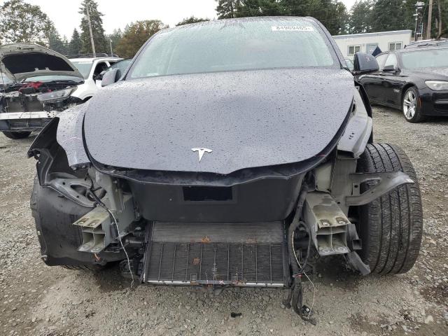 2023 TESLA MODEL Y 7SAYGDEEXPF855197