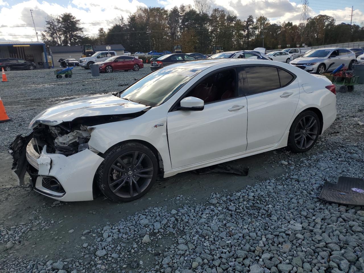 Lot #3302730034 2018 ACURA TLX TECH+A