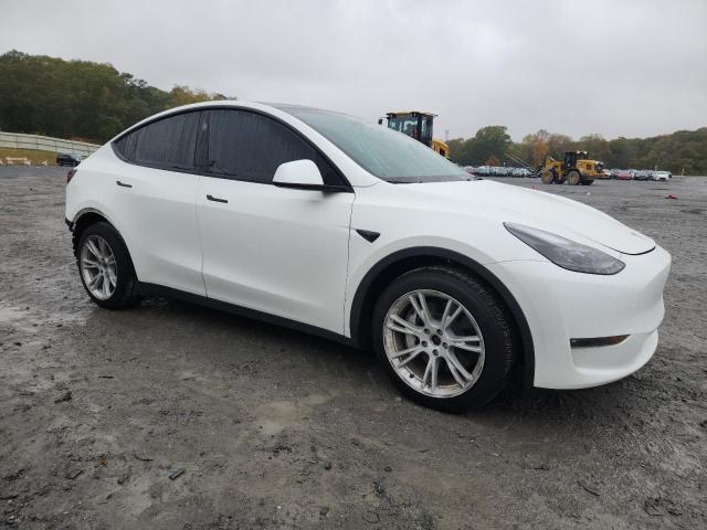 2023 TESLA MODEL Y - 7SAYGAEE3PF840944