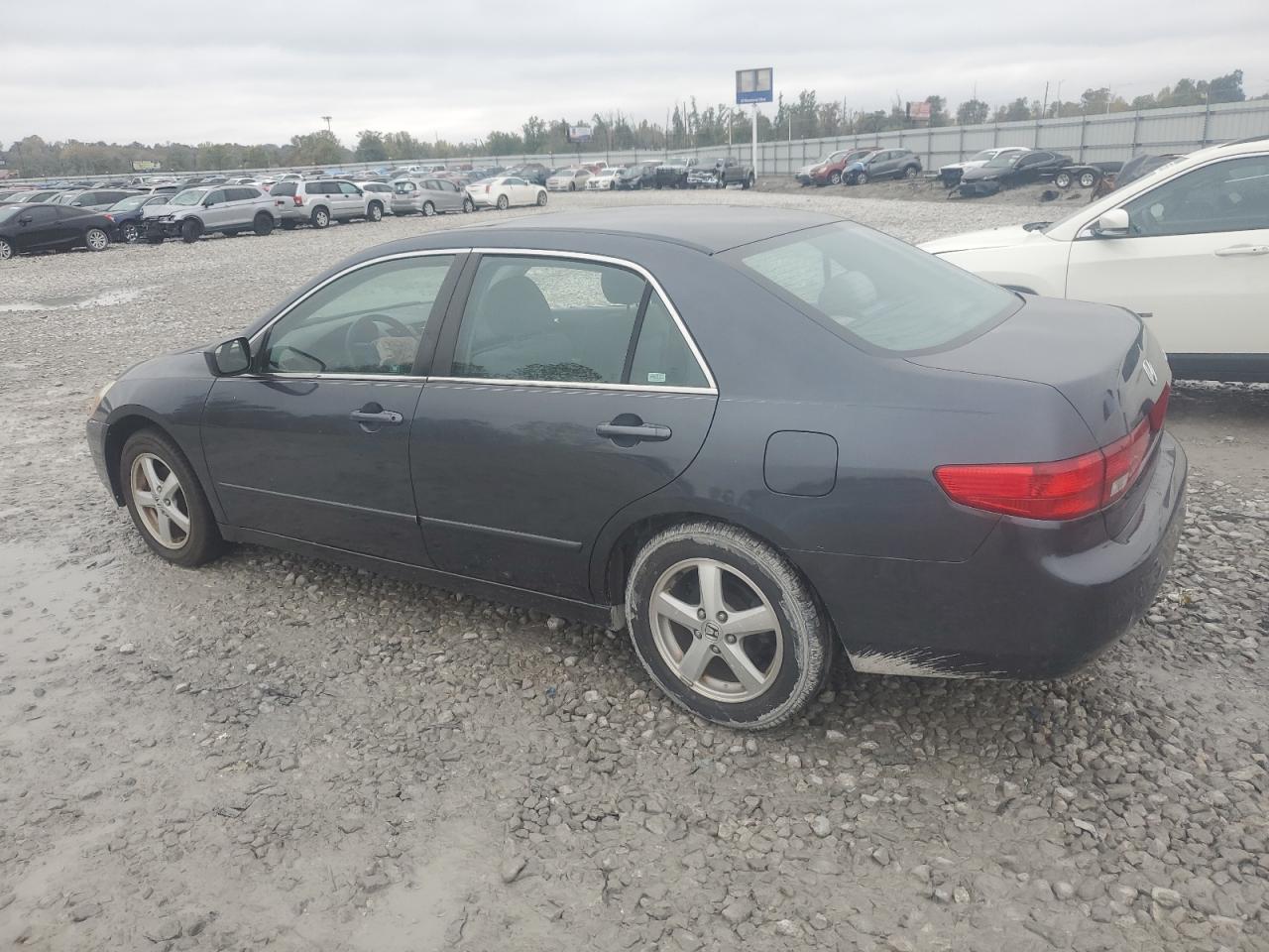 Lot #3286603145 2005 HONDA ACCORD EX