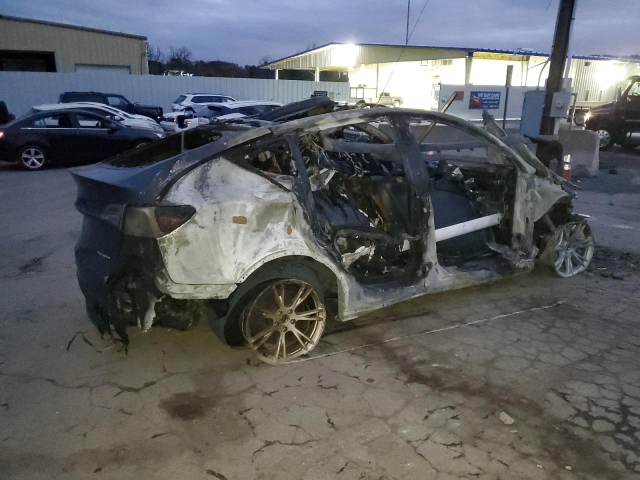 Lot #3312424632 2024 TESLA MODEL Y