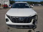 Lot #3292352282 2024 HYUNDAI TUCSON SEL