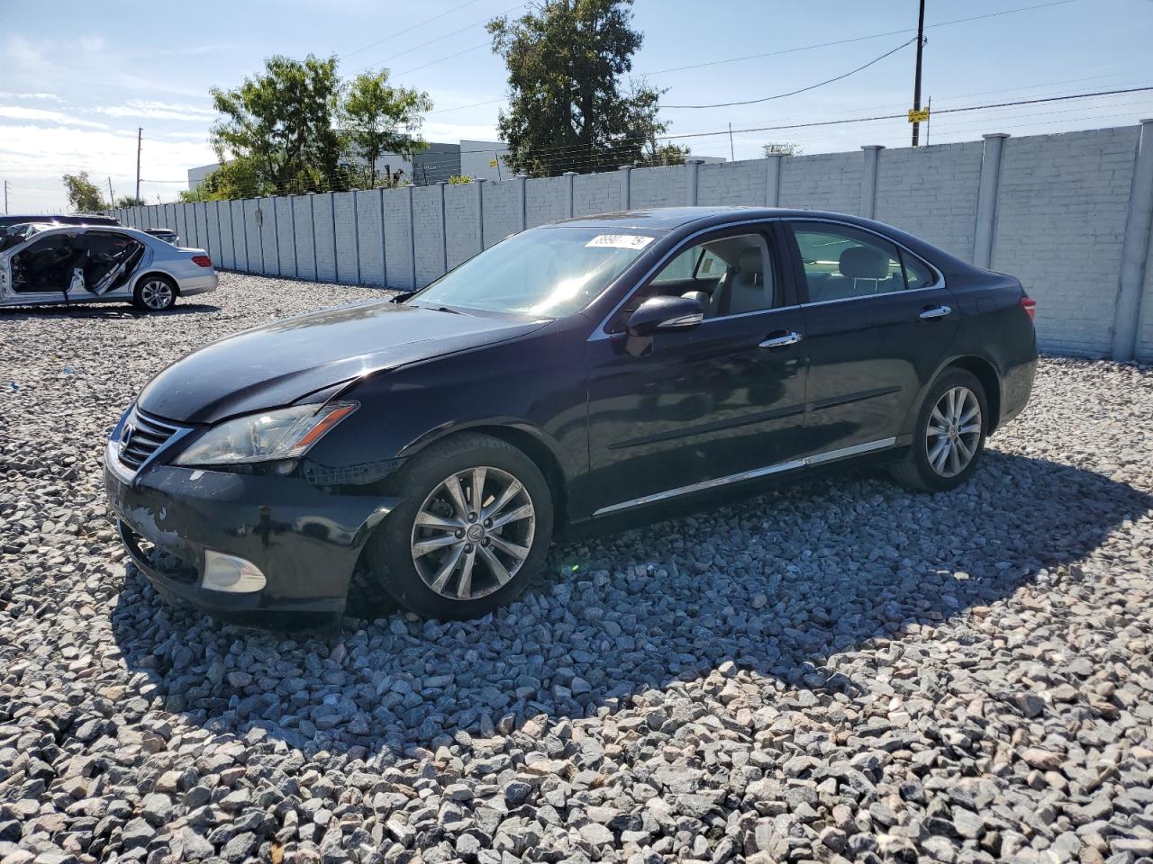 Lot #3302879915 2010 LEXUS ES 350