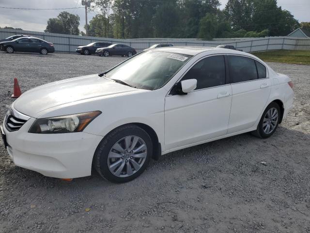 Global Auto Auctions: 2011 HONDA ACCORD EXL