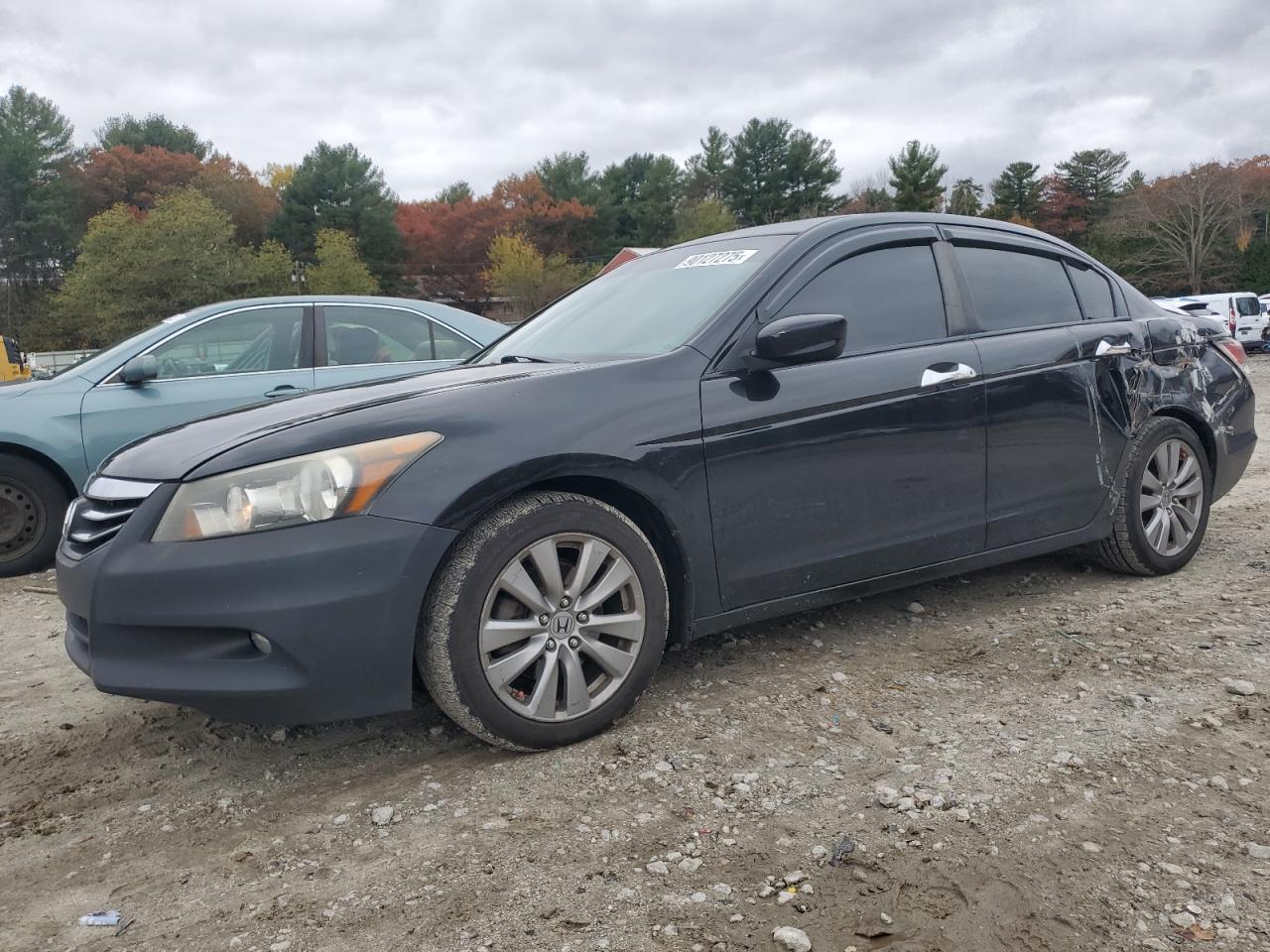 HONDA ACCORD EXL