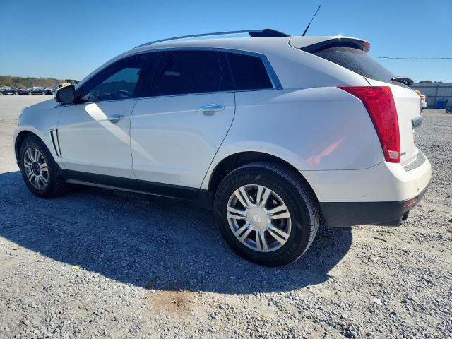 2013 CADILLAC SRX LUXURY - 3GYFNCE37DS534198