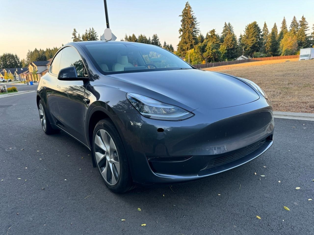 TESLA MODEL Y