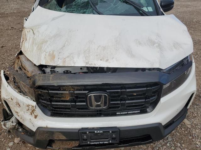 2025 HONDA RIDGELINE 5FPYK3F84SB002485