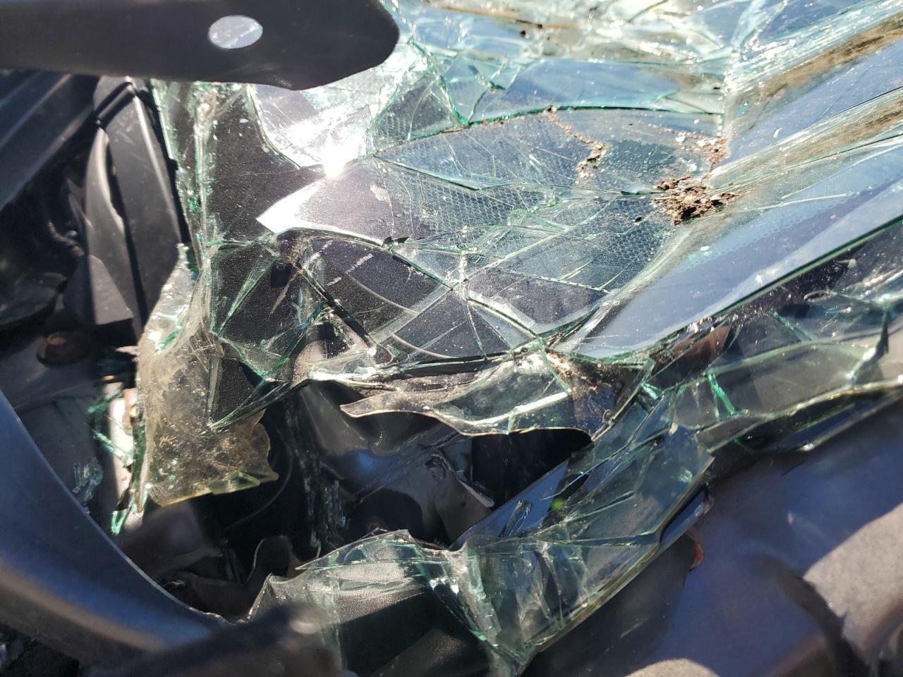 Lot #3302796939 2016 NISSAN MAXIMA 3.5