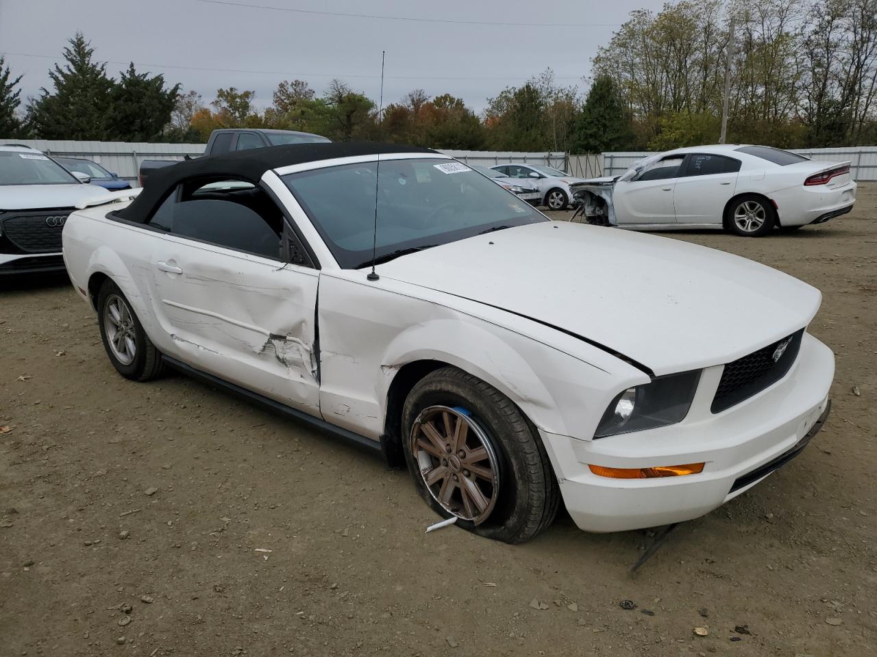 Lot #3280359983 2007 FORD MUSTANG