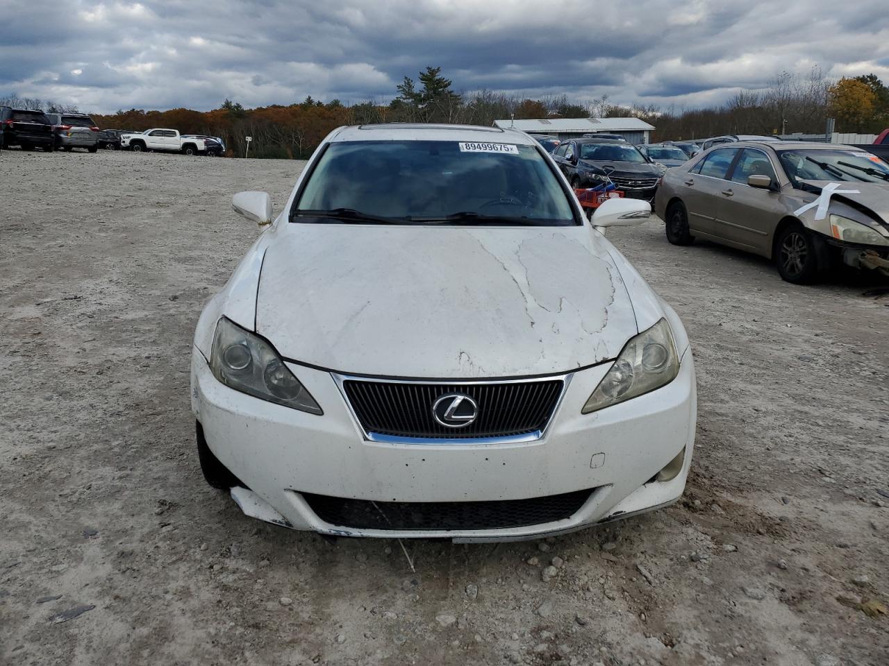 Lot #3280369972 2009 LEXUS IS 250