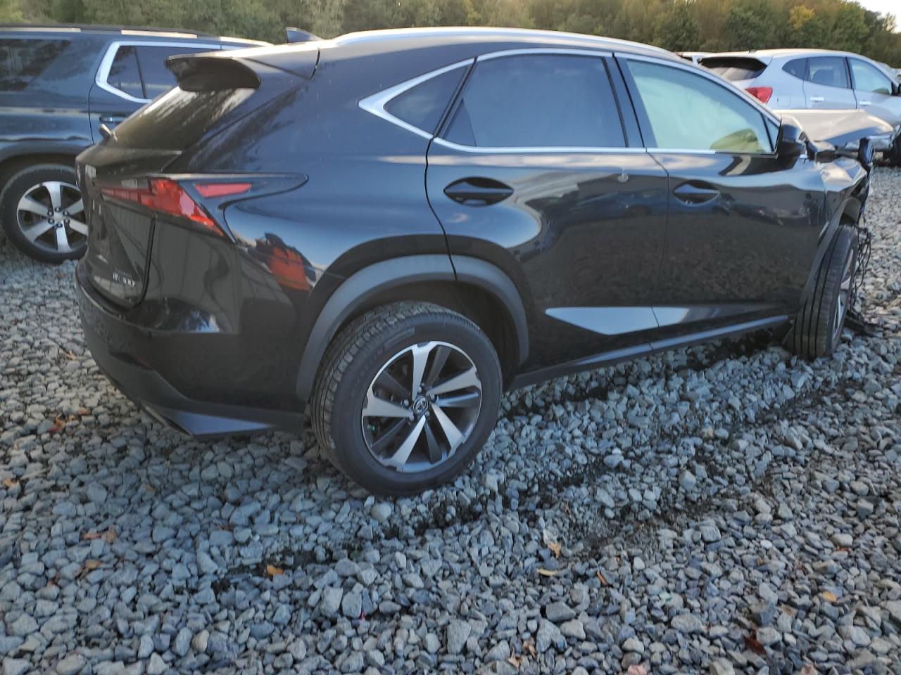 LEXUS NX 300